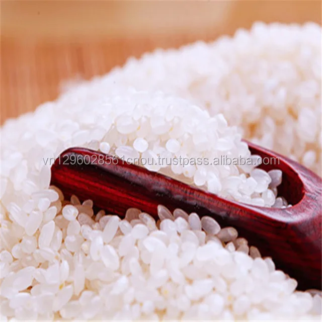 Japonica rice 1.jpg