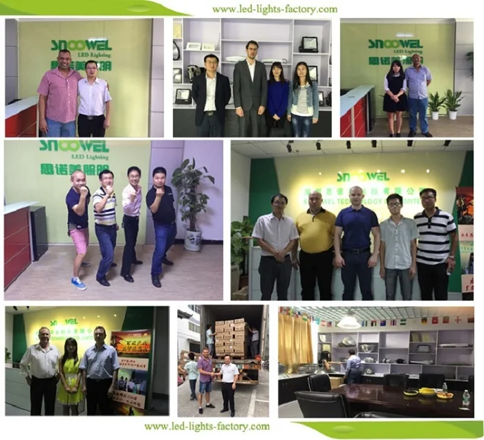 SNOOWEL COMPANY 2.jpg