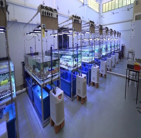 Harvest Fish Pet Sdn Bhd 2025