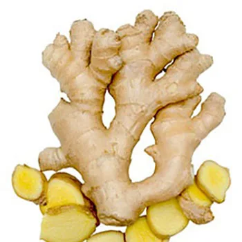 
High quality Organic fresh ginger cheap price best quality 