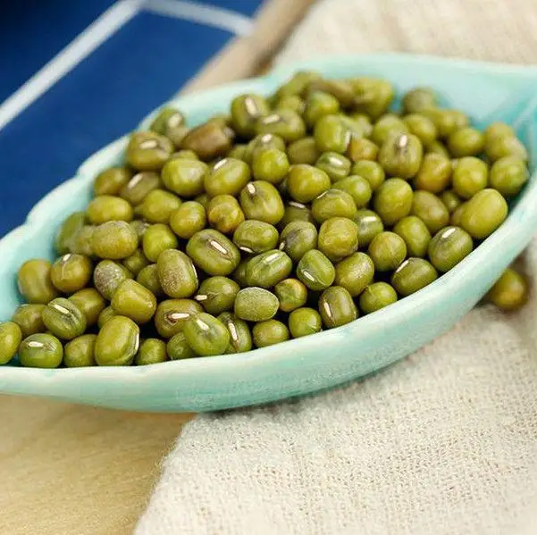 
exporting high quality Uzbekistan organic green mung beans 