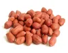 /product-detail/we-can-supply-peanuts-kernels-and-peanut-butter-and-more-related-peanuts-62005652228.html