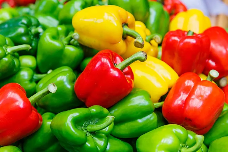 fresh green capsicum