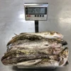 Frozen Whole Cod Fish Pacific Cod 300-400g 15kg P/B On Sale