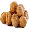 Factory price Walnuts without shell