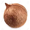 coconut - husked coconut/semi husked coconut/fresh coconut