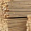 Black Walnut Lumber