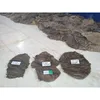 Available in Big Stock Processed Yellow Croaker Fish Frozen