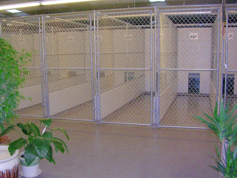 Multiple Kennels, 5-Run Shed Row Style cheap chain link multiple dog kennels.jpg