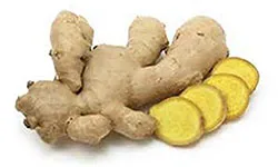 
High quality Organic fresh ginger cheap price best quality 