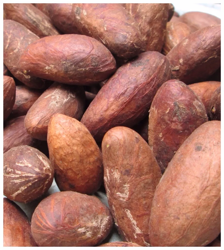 Research based weight loss supplements photo 7