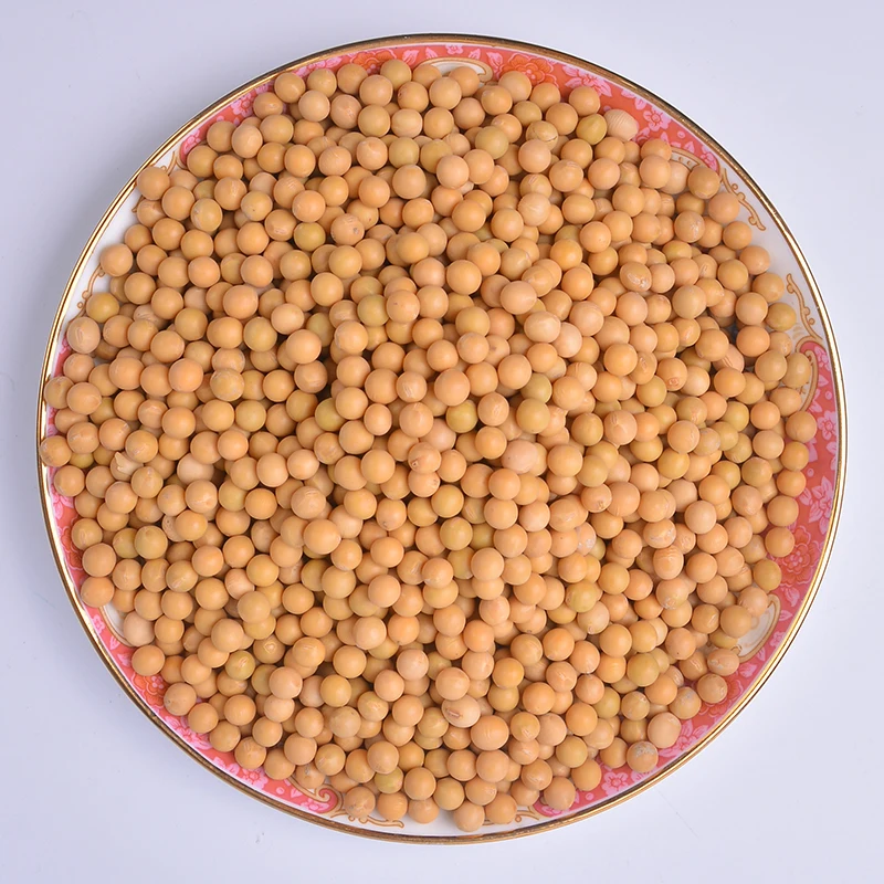 
Canada Wholesale Dried Yellow Soybean Soya Seeds 