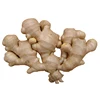 MEDICINAL BENEFITS USA ORGANIC GINGER GROUND