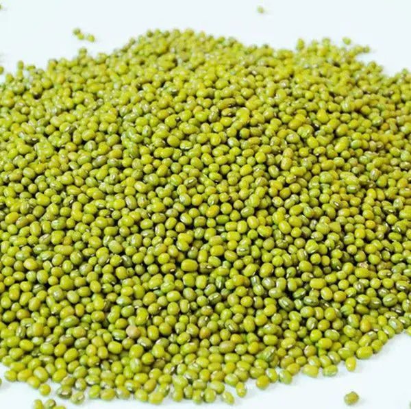 
exporting high quality Uzbekistan organic green mung beans 