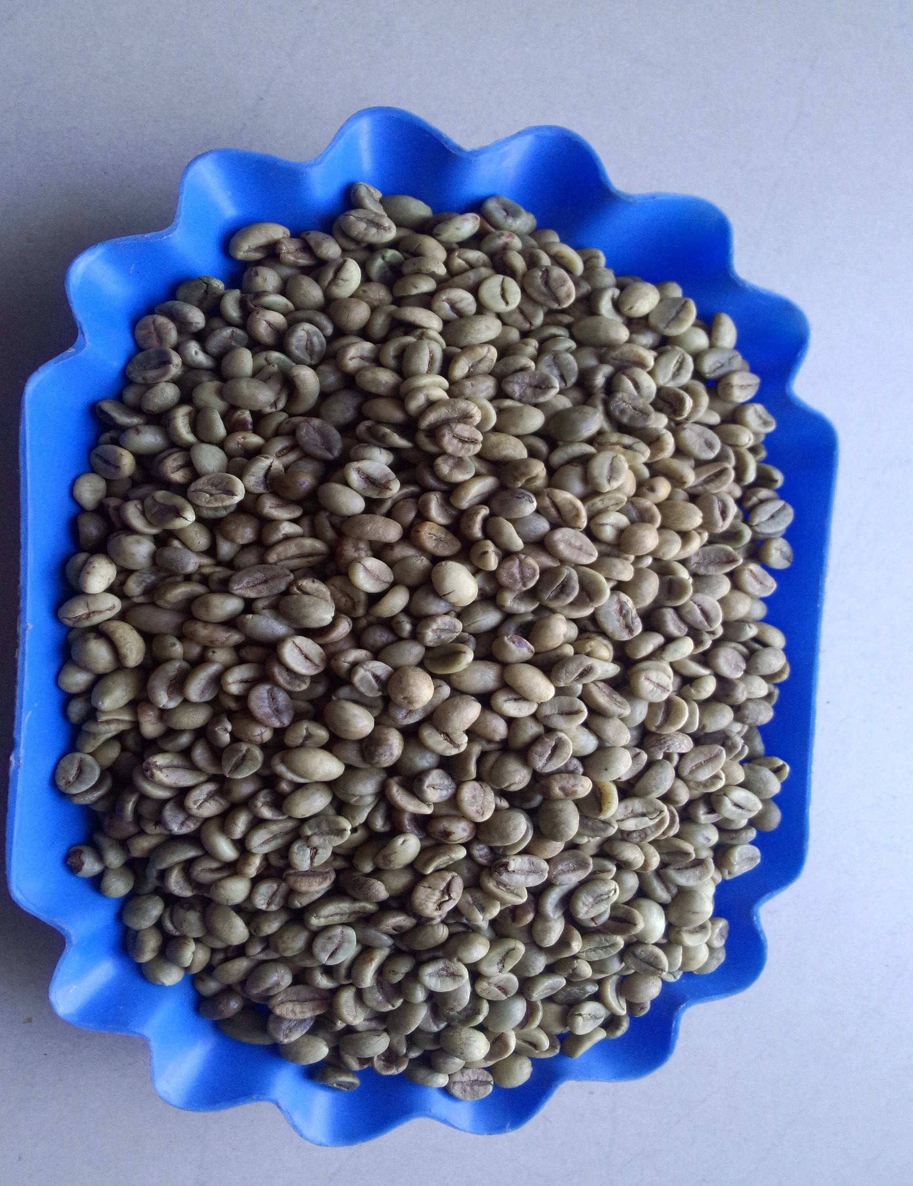 
VIETNAM ROBUSTA COFFEE BEANS SCR#18 
