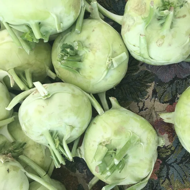 product of vietnam dried kohlrabi/ german turnip/ cabbage tru