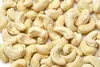Raw Cashew Nuts w320 / Cashew Nuts WW450 / Cashew Nut A
