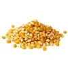 High Grade Hot Sale Corn Maize For Animal Feed Corn
