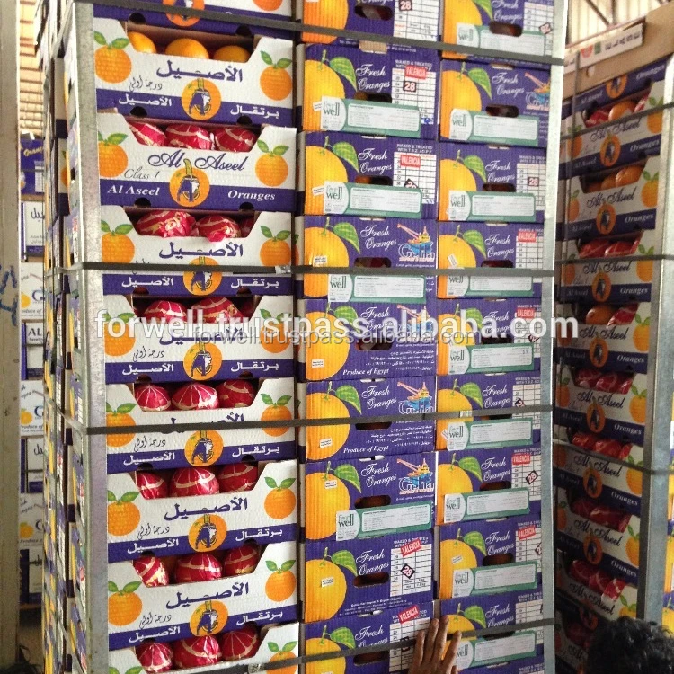 
VERY sweet FRESH oranges exporting to Russia market 