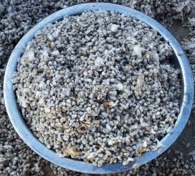 
ANIMAL FEED COTTON SEED ORIGIN INDIA FROM NIK-MAY EXPORTS LLP 