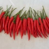 /product-detail/fresh-chili-pepper-red-super-hot-from-northeast-thailand-62000535903.html