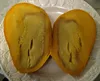 /product-detail/african-mango-seeds-available--62000348425.html