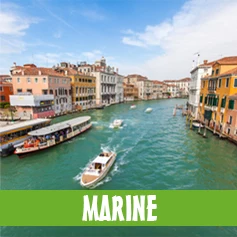 MARINE.jpg