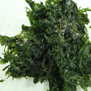 the seaweed