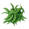 100% High Quality Fresh Lima Beans Wholesale From Bangladesh