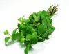 PEPPER MINT LEAVES - HOT HERB FOR YOUR HEALTH AND BEAUTY