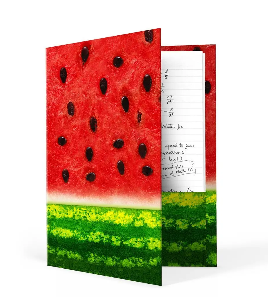 Book Sox Folders (1 Item, Watermelon Print)