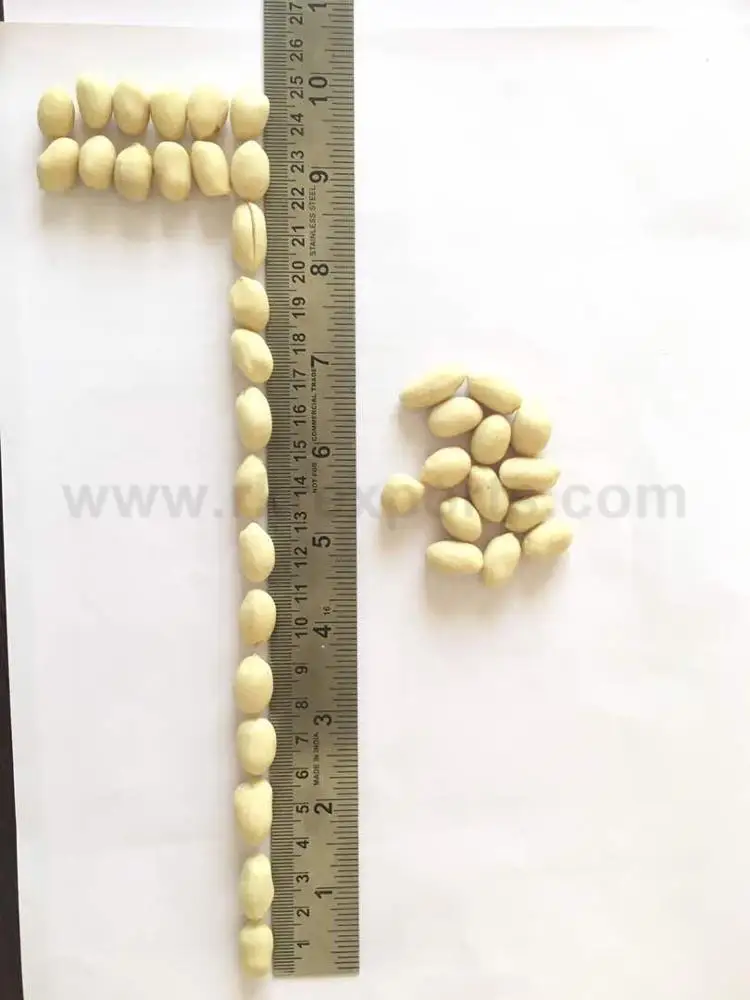 
Peanuts, Blanched Peanut at Whole Sale Price 