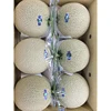 High quality fresh melon for sale with good packing
