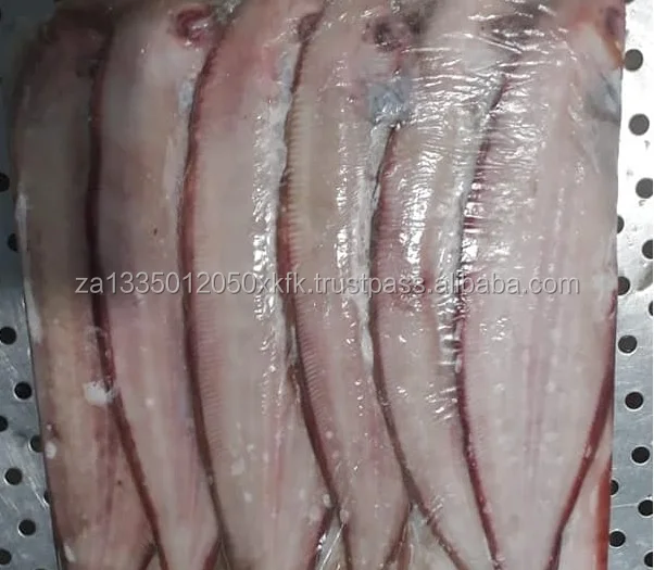 Tongue-Sole-Fish.jpg