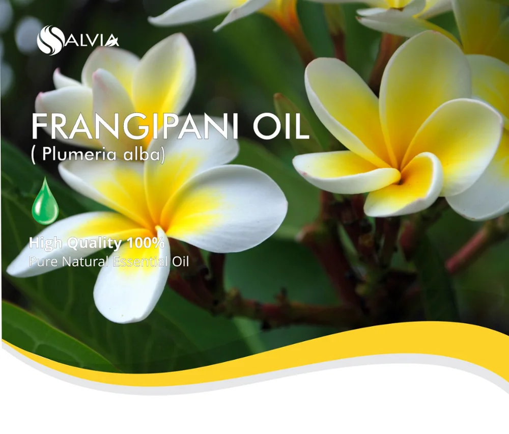  Frangipani (Plumeria) 100% Pure Essential Oil, 50ml.) : Beauty  & Personal Care