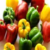 /product-detail/fresh-capsicum-special-price-high-quality-50038013997.html