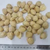 The best price buah keras kemiri Indonesian spices agricultural product candlenut