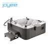 JOYEE Factory direct sell Spa tubs whirlpool bath tub spa with pool with low price Jacuzzi function