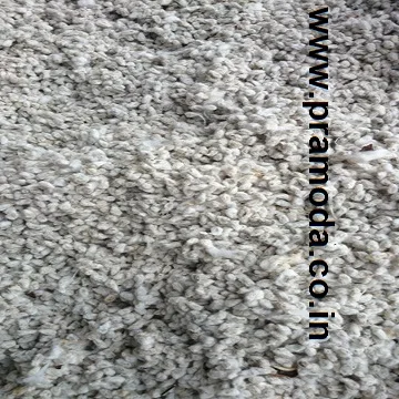 DSC_0245.JPG