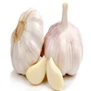Best Quality White Garlic / Fresh Onions / Fresh Ginger