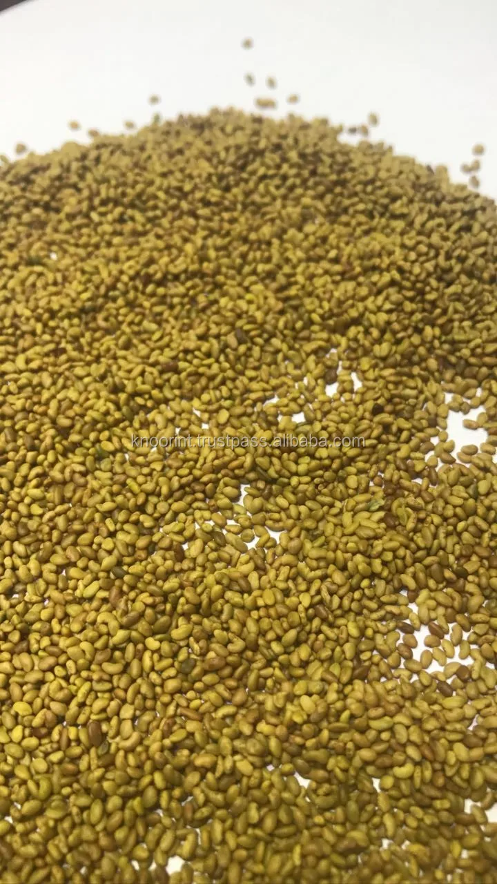 Alfalfa Seeds Animal Fodder Grass Seeds Buy Alfalfa Seed,Alfalfa