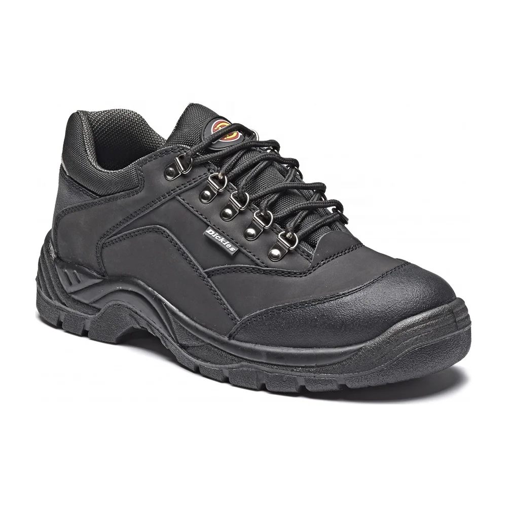 dickies canvas shoes