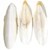 Raw dried cuttlefish bone in bulk