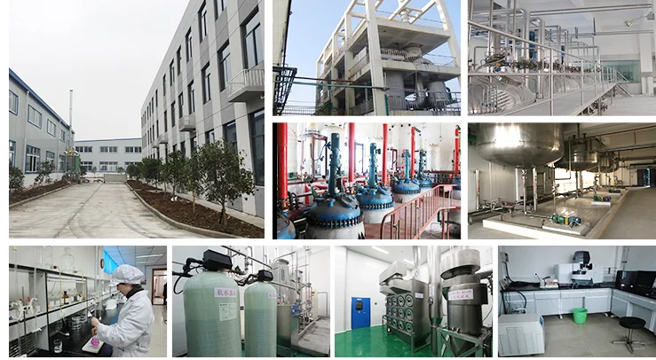 citric acid factory