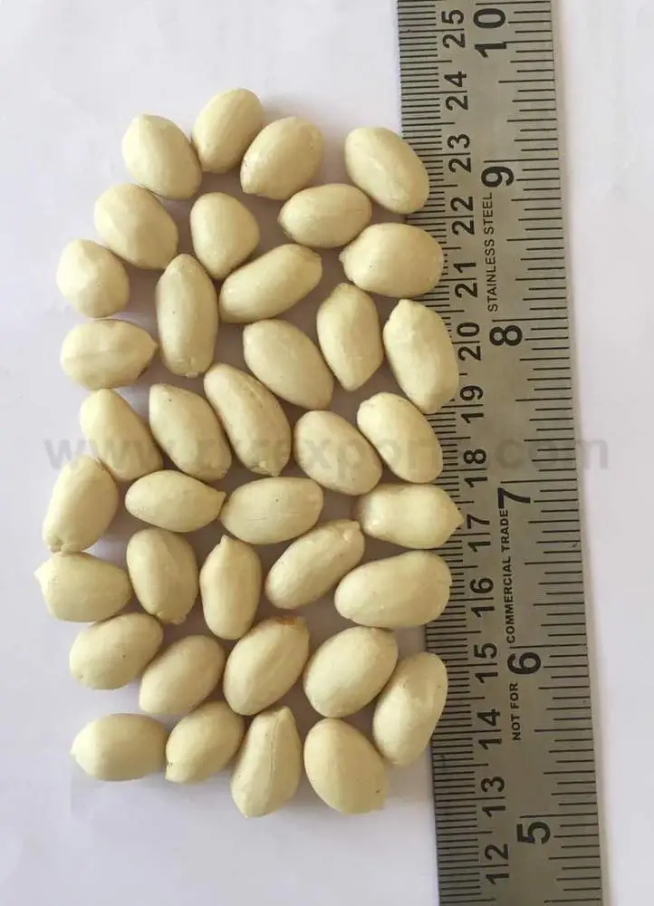 
Peanuts, Blanched Peanut at Whole Sale Price 