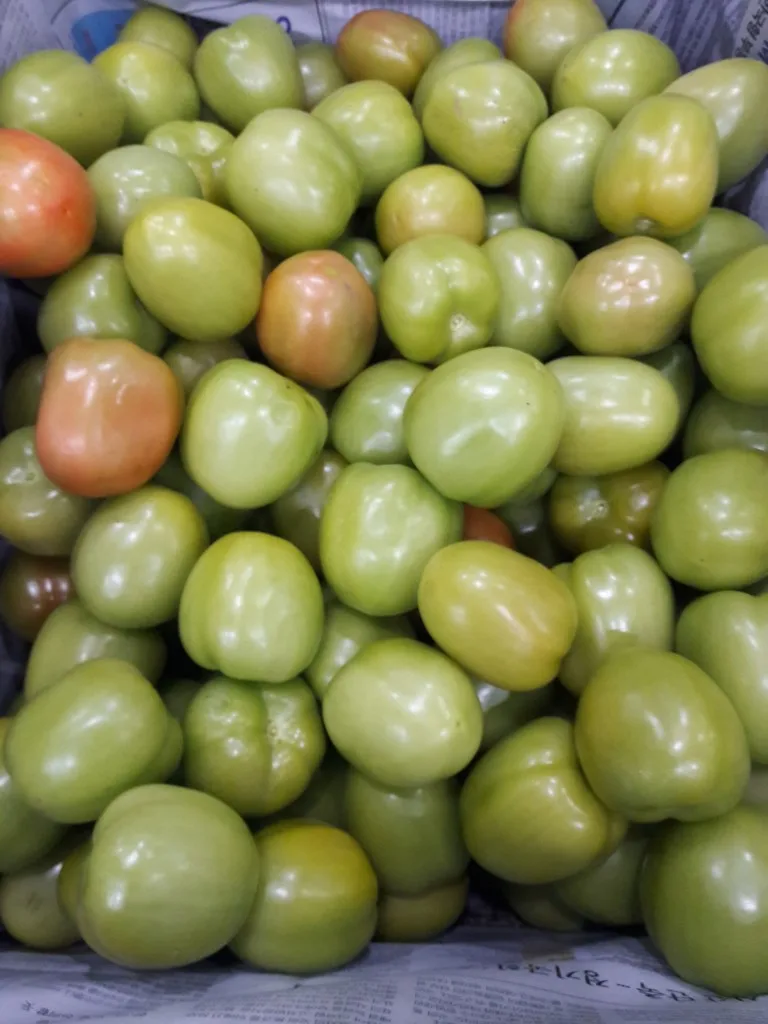 Fresh Tomatoes From Vietnam Buy Fresh Green Tomatoes,Farm Fresh