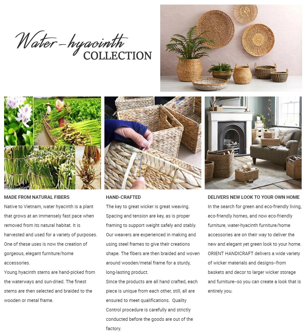 Water-hyacinth-Footer