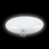 Small Electronic Gift Led Light for Handbag from Tany