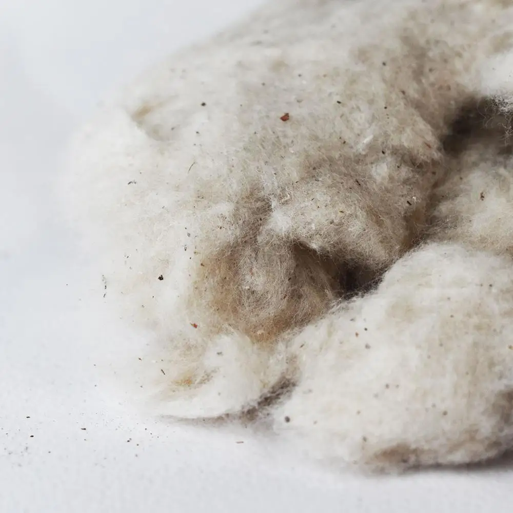 
Good Quality 100% Cotton from India Comber Noil Substitute 