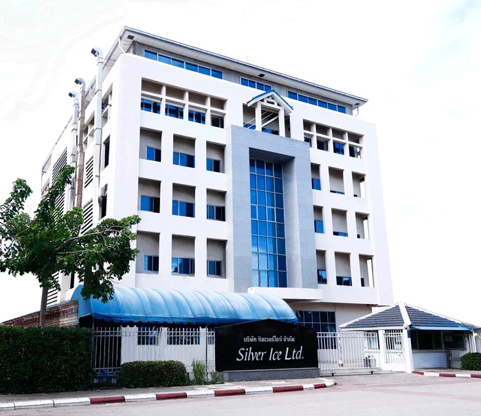 
Gold Sterling Silver Infinity Adjustable Toe Ring 